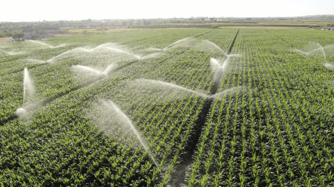 La hausse de la redevance de prélèvement de l'eau d'irrigation pourrait engendrer une multiplication par 12,5 du coût de la redevance pour les agriculteurs, selon Eric Frétillière, Président des Irrigants de France. La hausse de la redevance de prélèvement de l'eau d'irrigation pourrait engendrer une multiplication par 12,5 du coût de la redevance pour les agriculteurs, selon Eric Frétillière, Président des Irrigants de France.